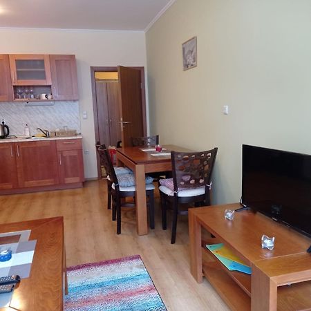 Pine Tree Apartment 3 - B3 Bansko Buitenkant foto