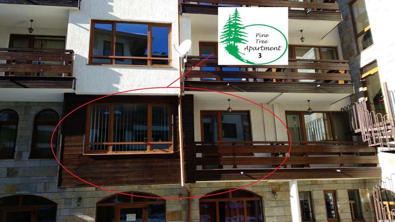 Pine Tree Apartment 3 - B3 Bansko Buitenkant foto