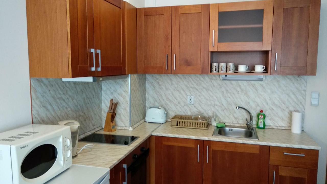 Pine Tree Apartment 3 - B3 Bansko Buitenkant foto