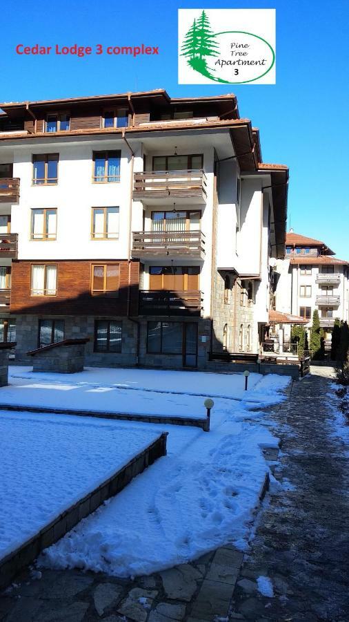 Pine Tree Apartment 3 - B3 Bansko Buitenkant foto
