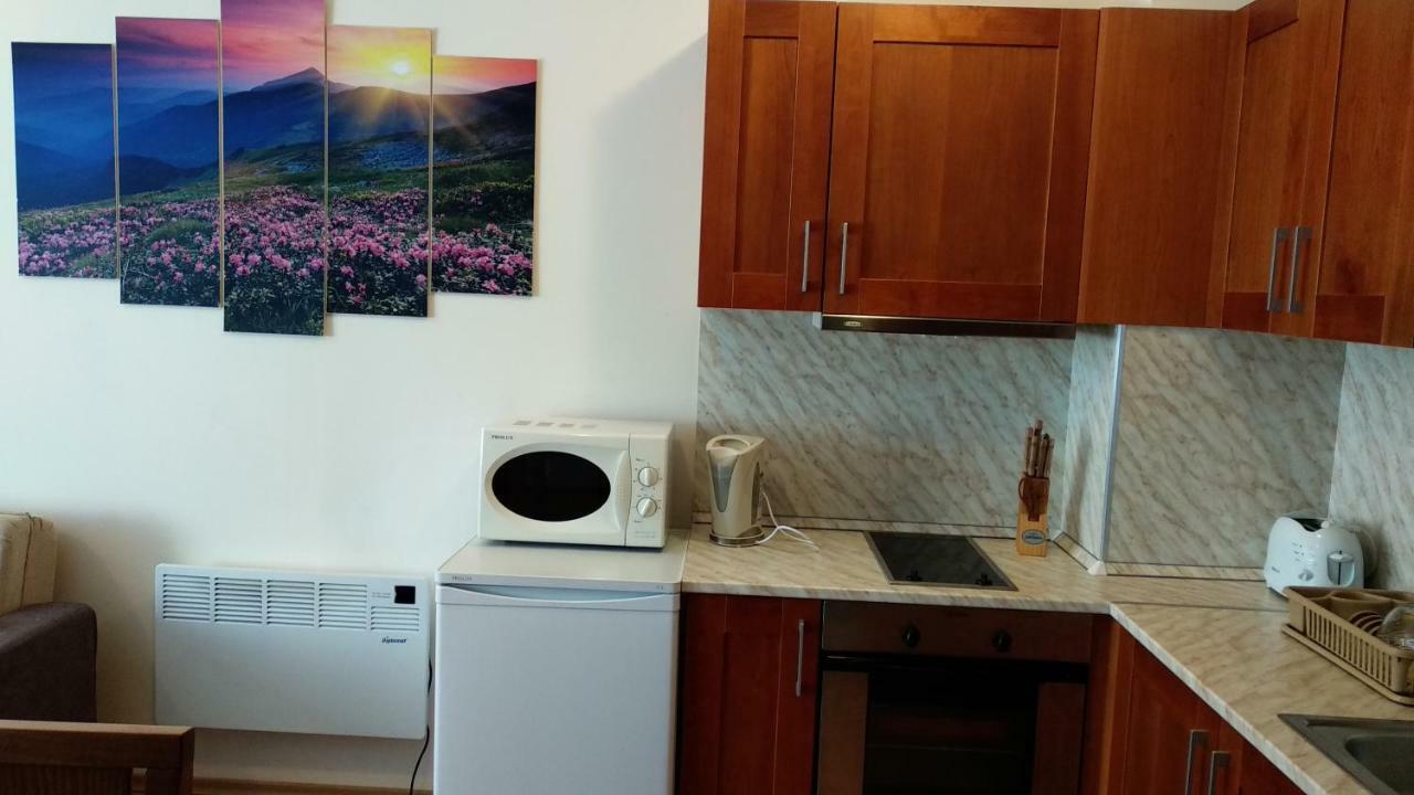 Pine Tree Apartment 3 - B3 Bansko Buitenkant foto