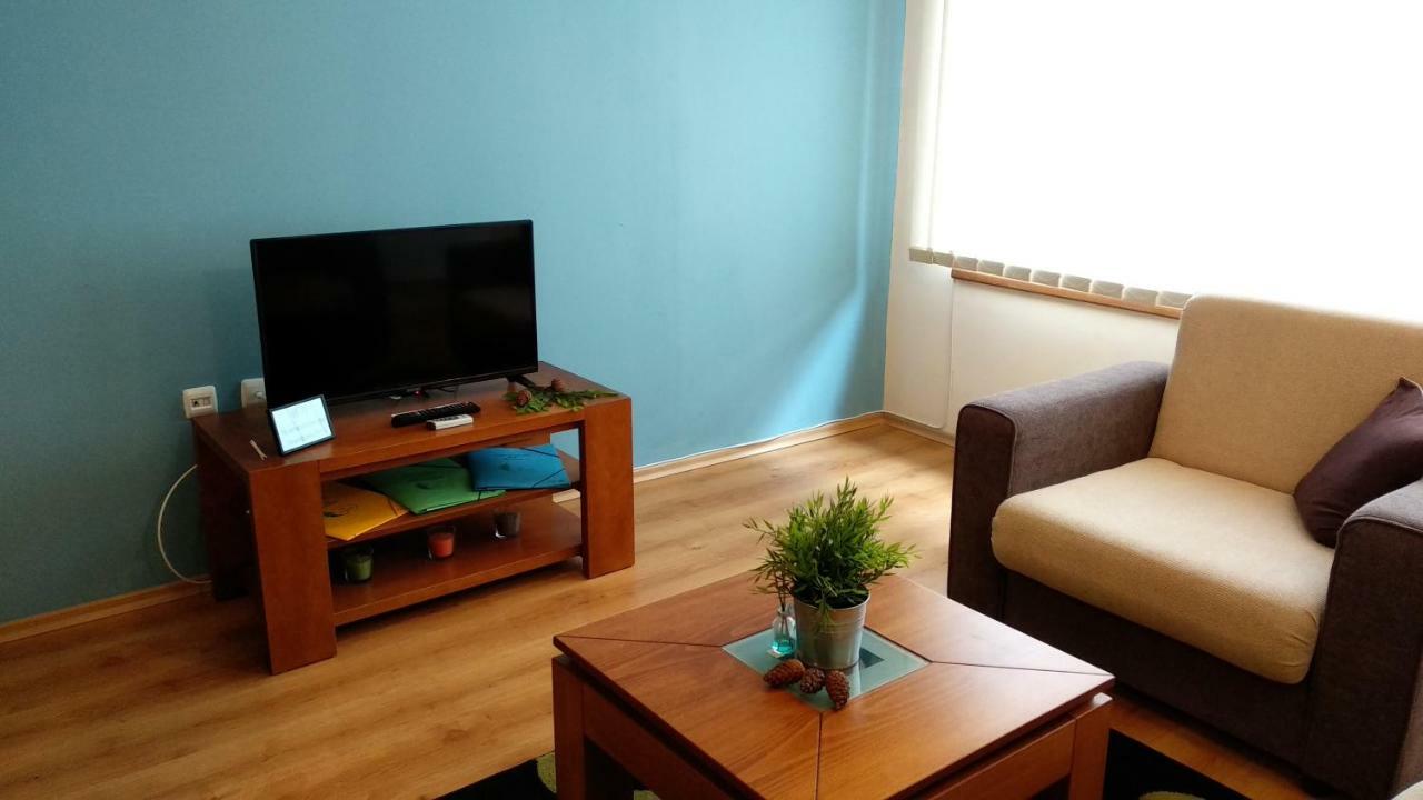 Pine Tree Apartment 3 - B3 Bansko Buitenkant foto